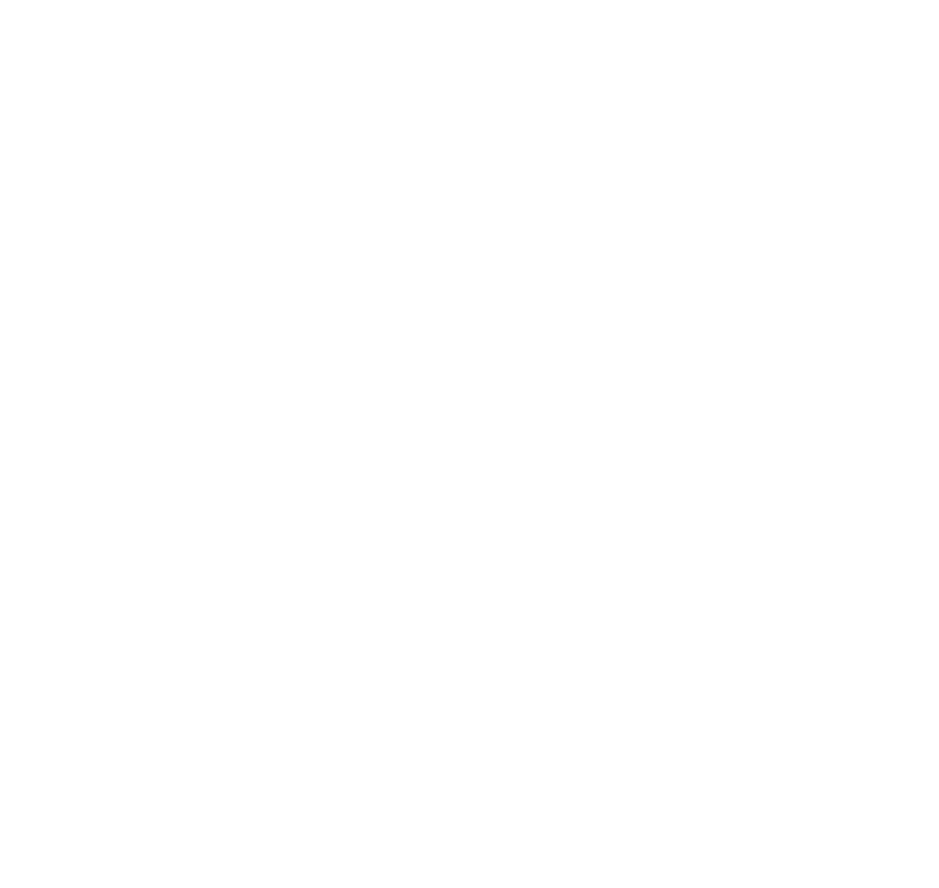 logo-con-nombre-sin-alas-blanco.png